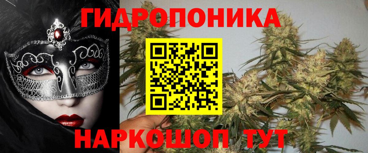 Шишки марихуана Ganja  Бошки Шишки OG Kush  Вход с VPN  Коркино  Шишки марихуана ГИДРОПОН 